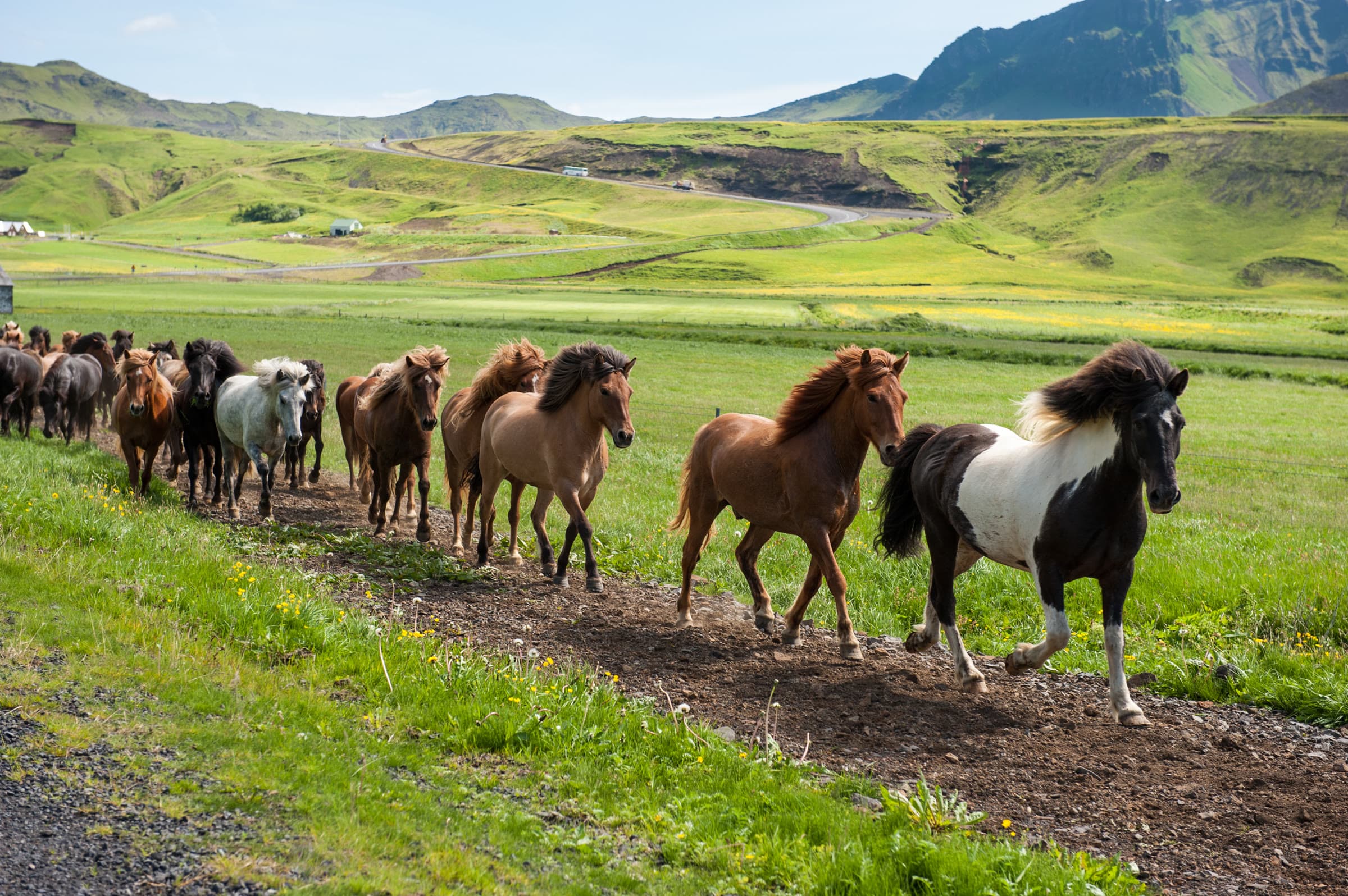 Islandia Śladem Żywiołów
